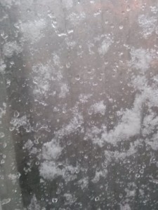 IMG00793